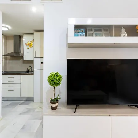 Holidays2malaga Salitre 45 High Speed Wifi Malaga
